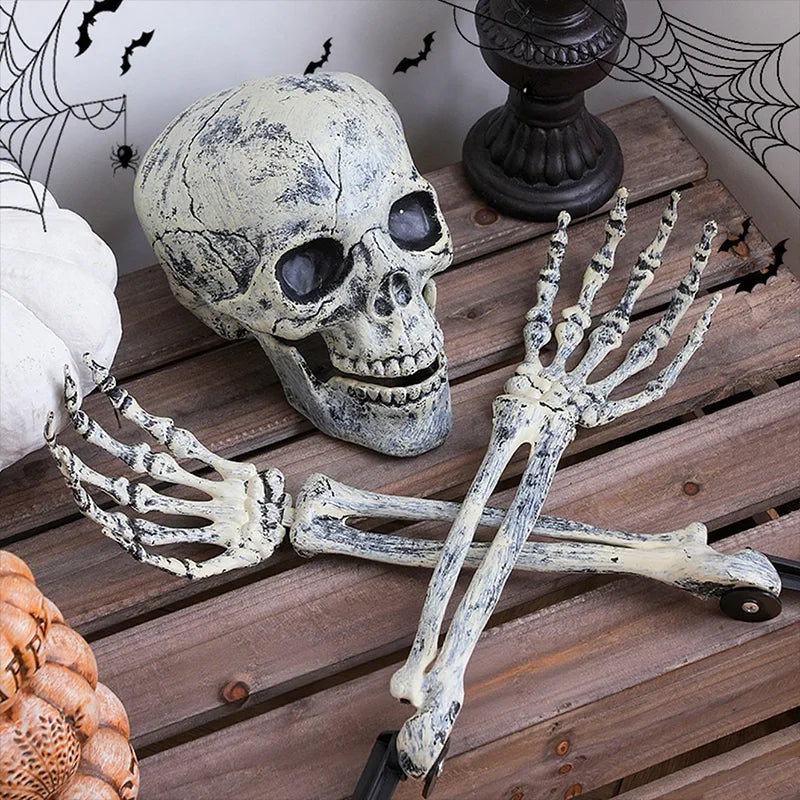 Halloween Skull Decoration