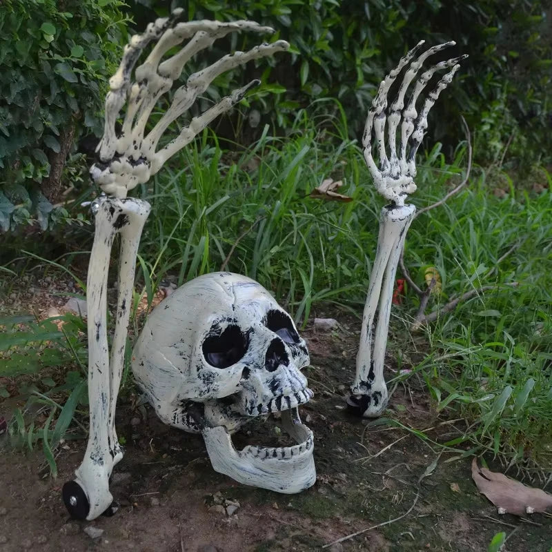 Halloween Skull Decoration
