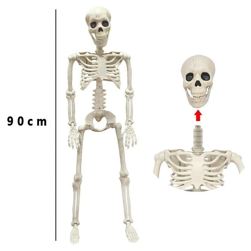 Halloween Skull Decoration