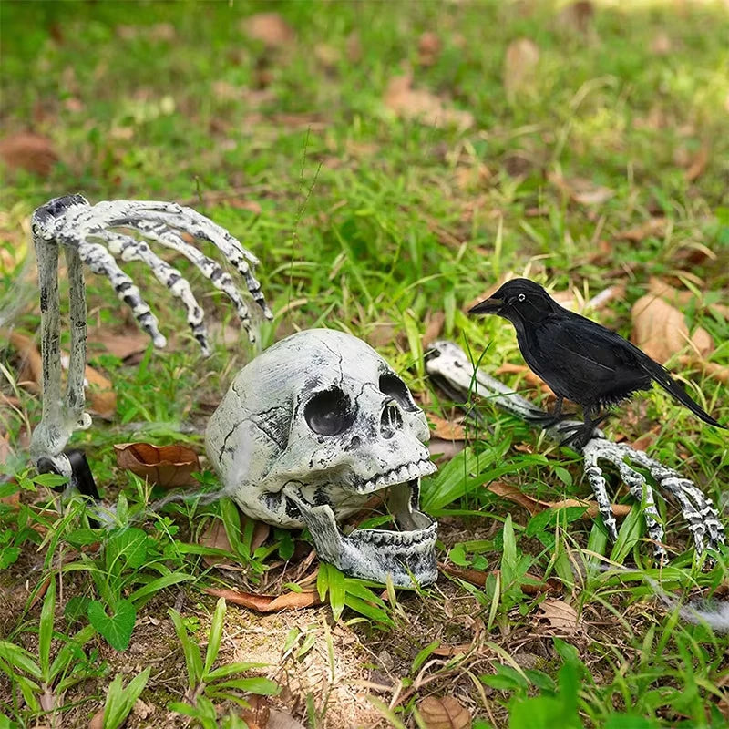 Halloween Skull Decoration