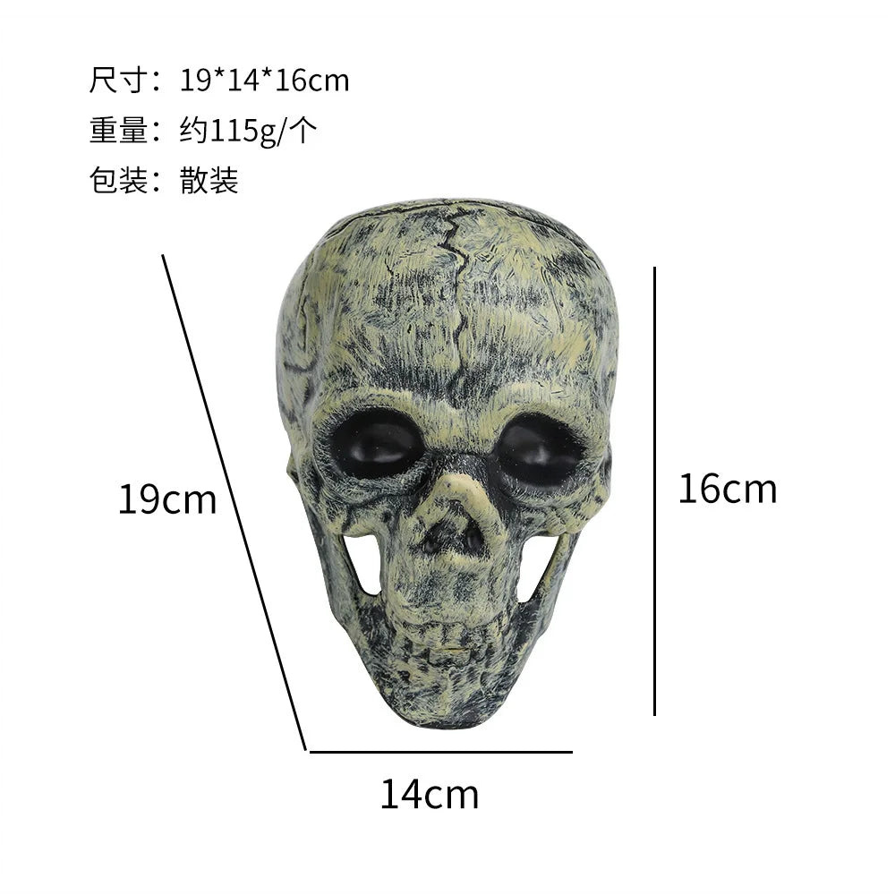 Halloween Skull Decoration