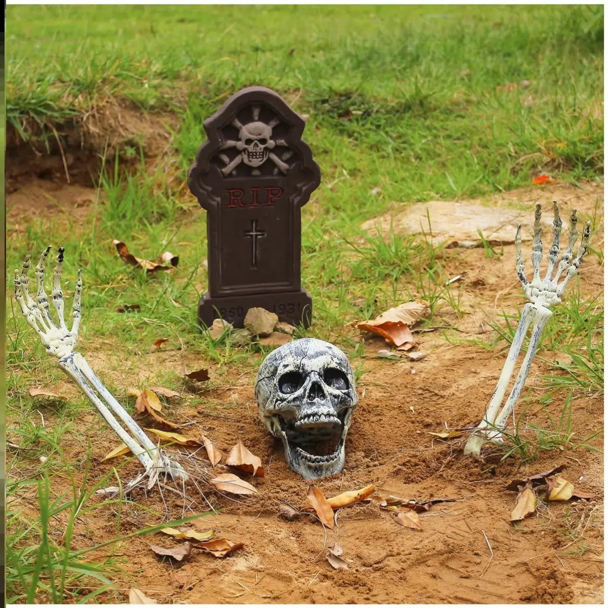 Halloween Skull Decoration