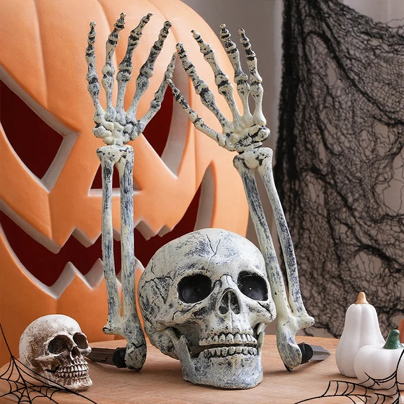 Halloween Skull Decoration