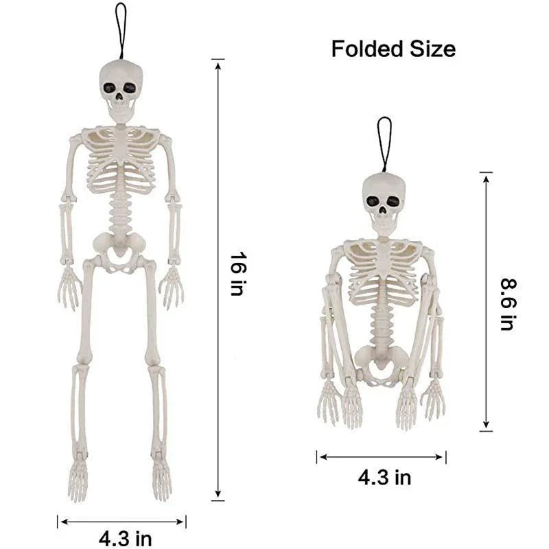Halloween Skull Decoration