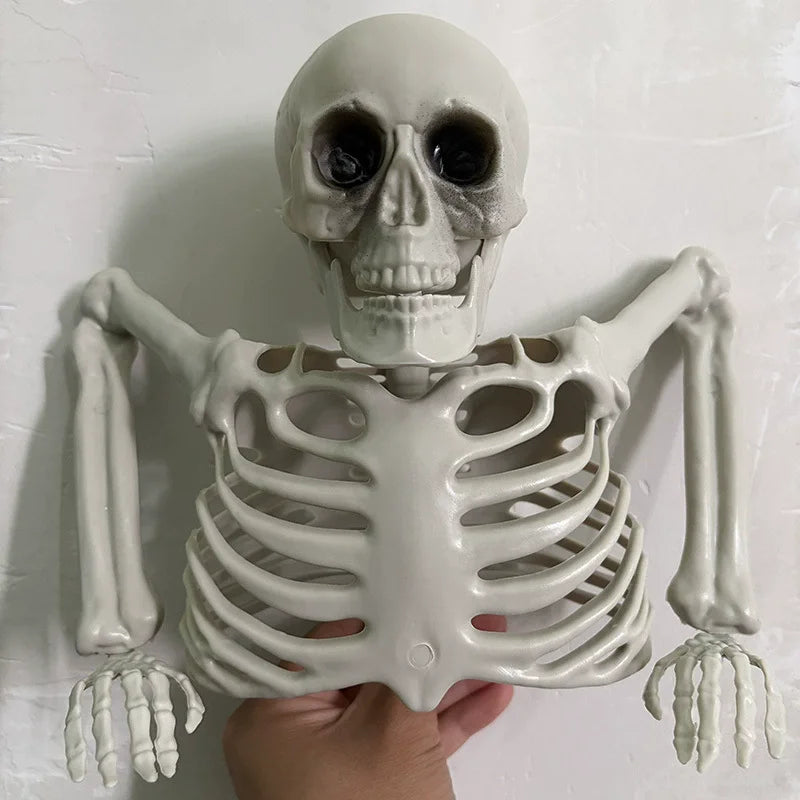 Halloween Skull Decoration