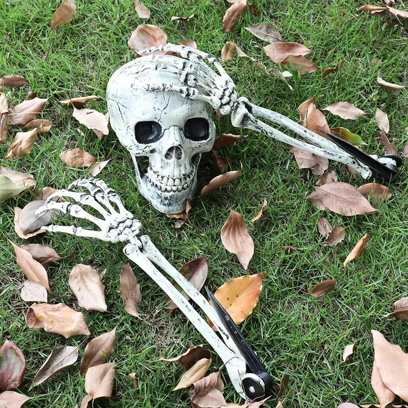 Halloween Skull Decoration